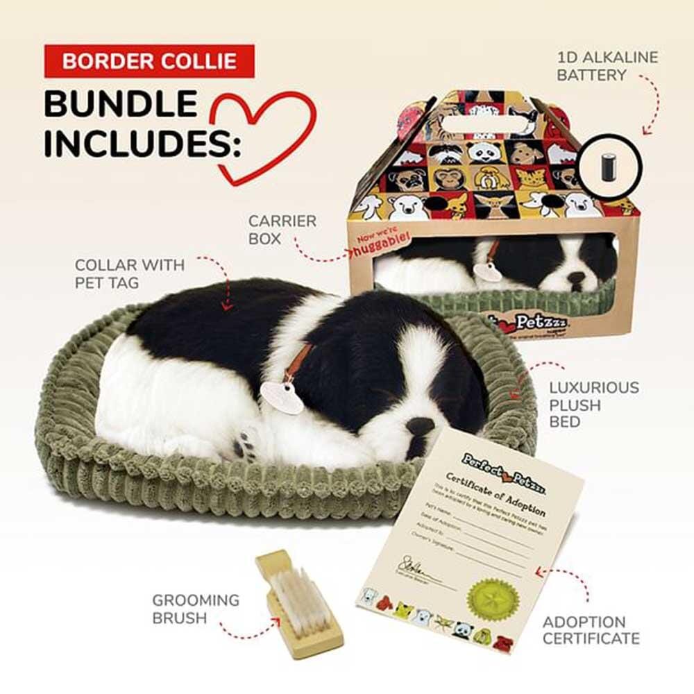 Perfect Petzzz -Original Petzzz Black and White Shorthair